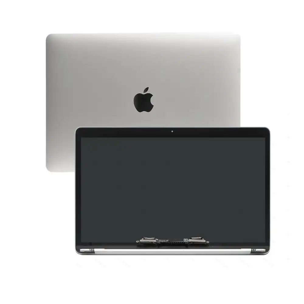 Display Assembly Apple MacBook Pro A1707 (Silver)
